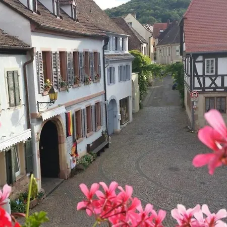 Waldblick